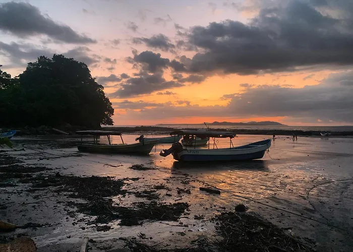 Ocekepala